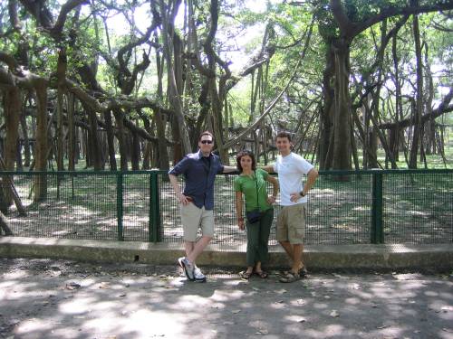 No shade?  No problem!  Just find yourself the biggest banyan tree in the world!